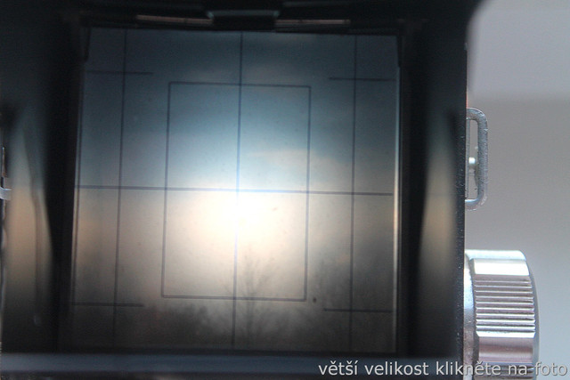 IMG-9801.jpg