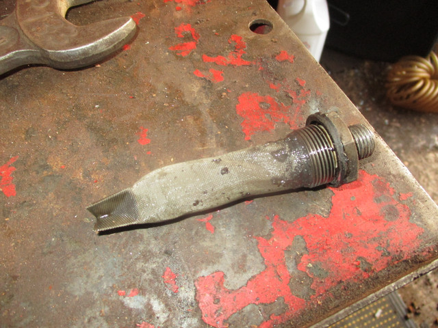 IMG-8728.jpg