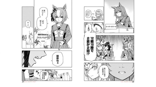 DLRAW-NET-Net-012