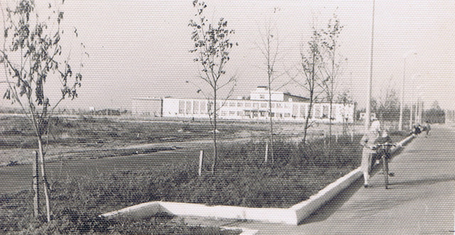 8-1965-70.jpg