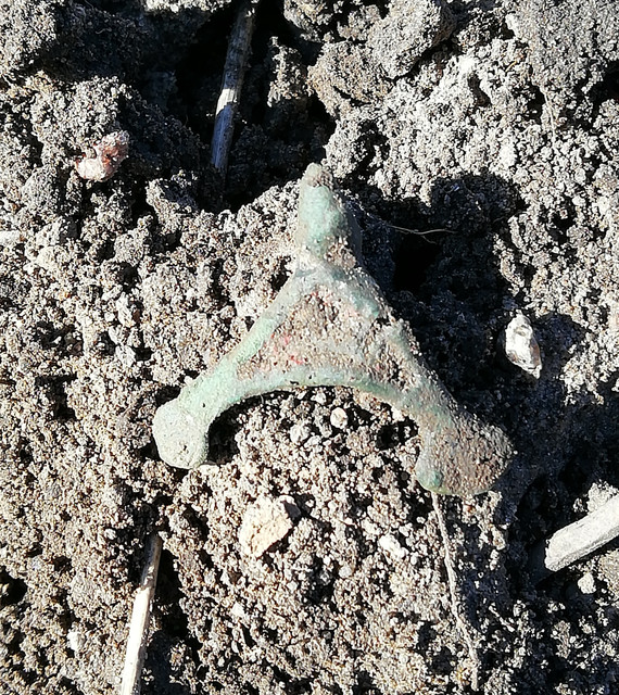 dig