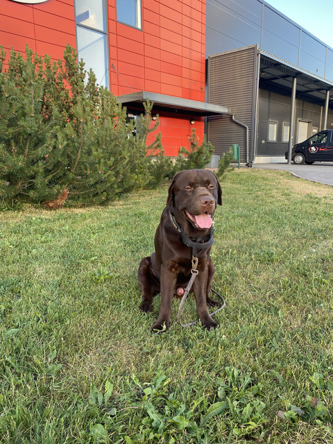 8-BADFFCE-8-F60-4-CF5-8-F60-AD426958283-