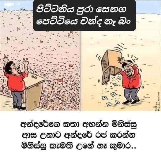 anura.jpg