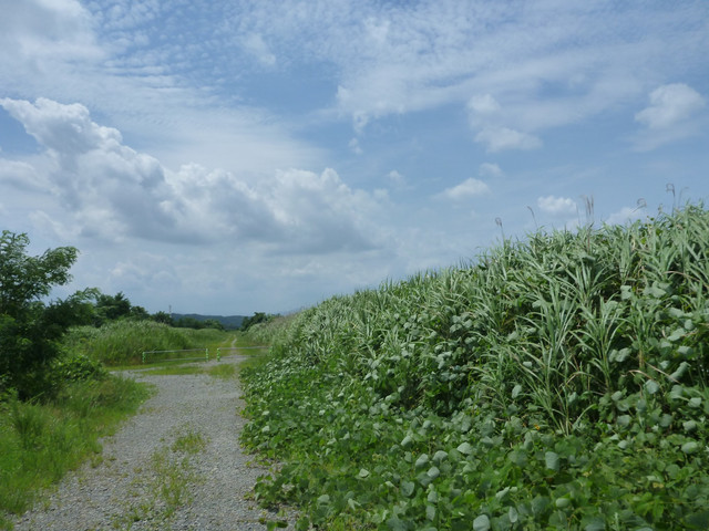 P1330193