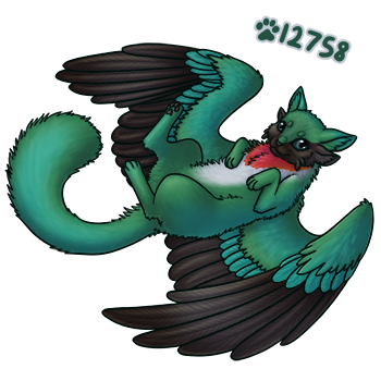 Pet Image