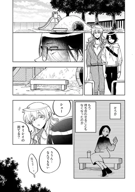 DLRAW-NET-11
