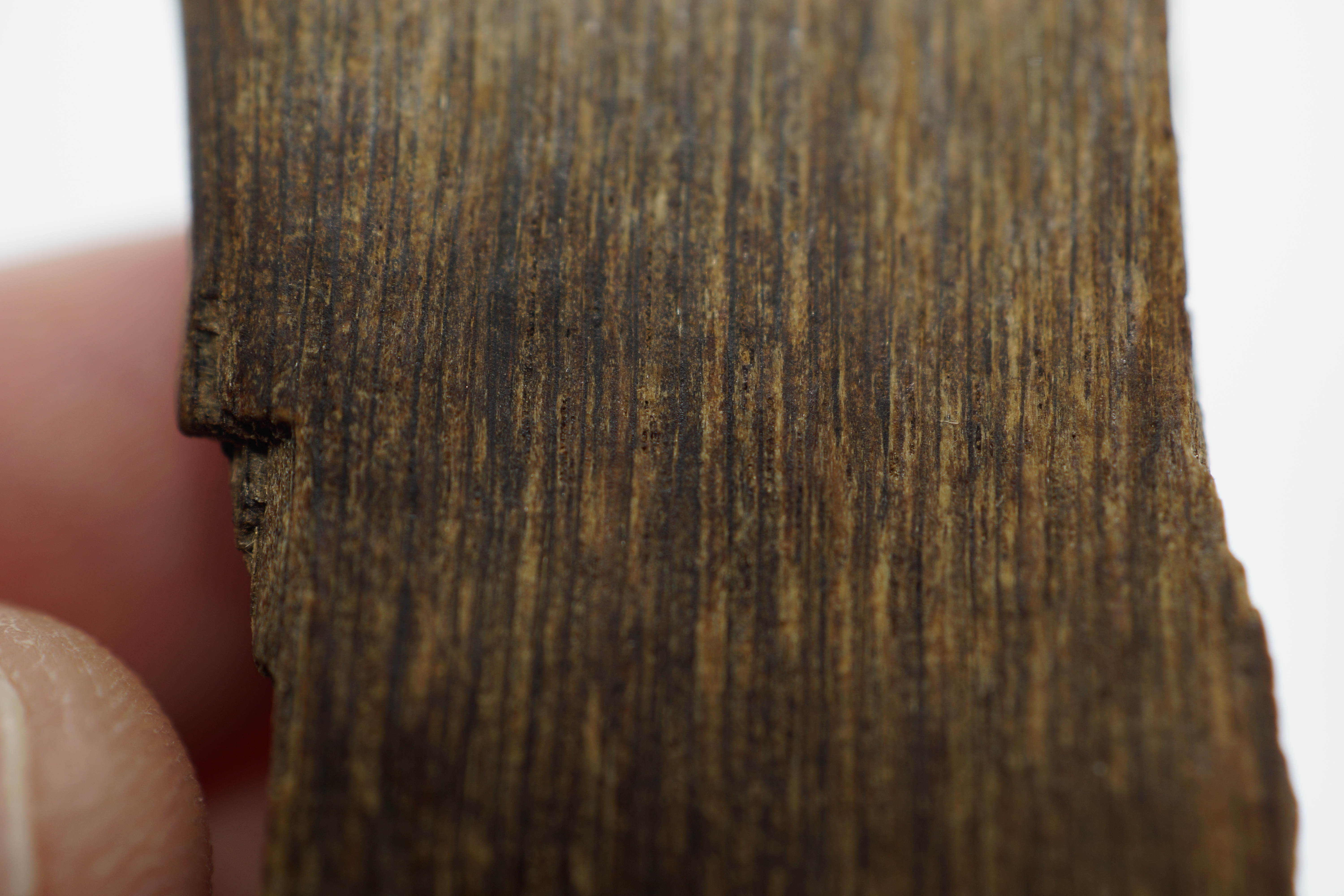 [Ouddict.com] Oud Photos