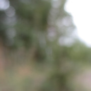 IMG-0885