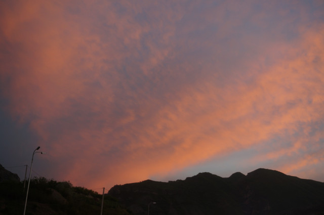 DSC05818.jpg