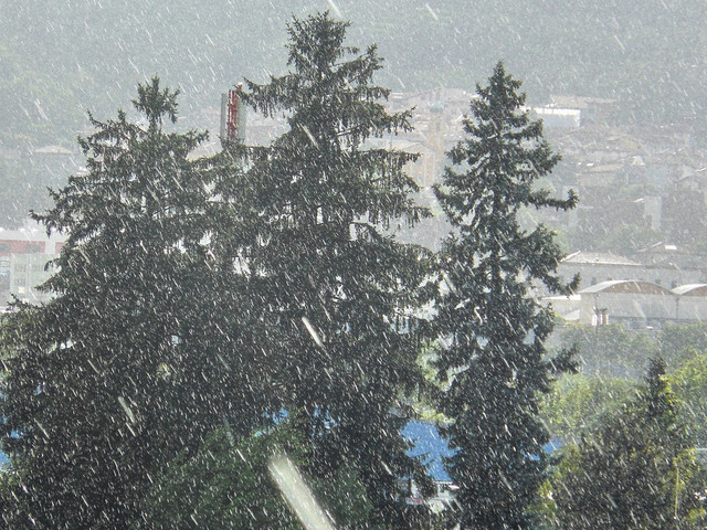 DSCN3256