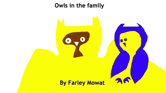 Owls.png