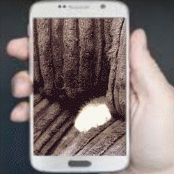 catphone.gif