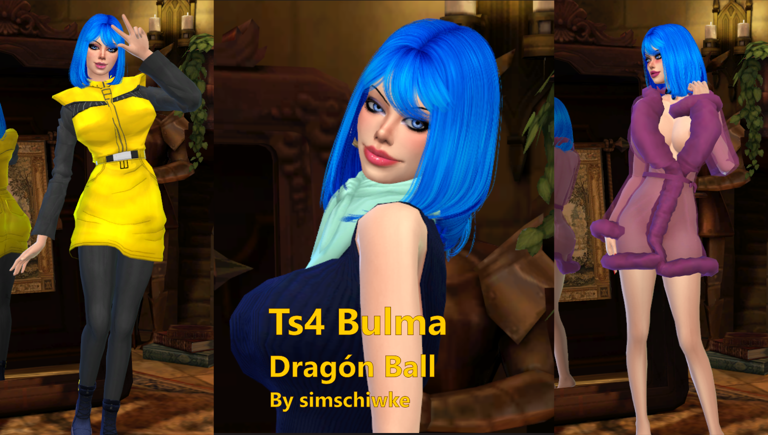 bulma-03.png