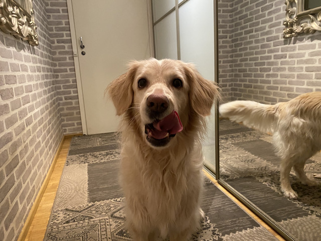 B92-D2-B92-70-C4-4-A02-B01-C-D224-EBB383