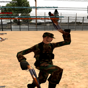 sa-mp-595