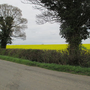 IMG-4101
