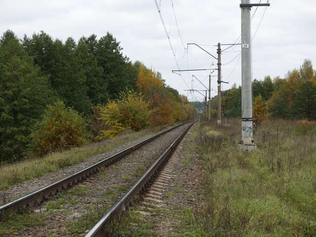DSC02000.jpg