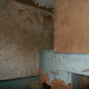 OLYMPUS-DIGITAL-CAMERA
