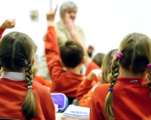 Addressing the Reading Crisis in Schools