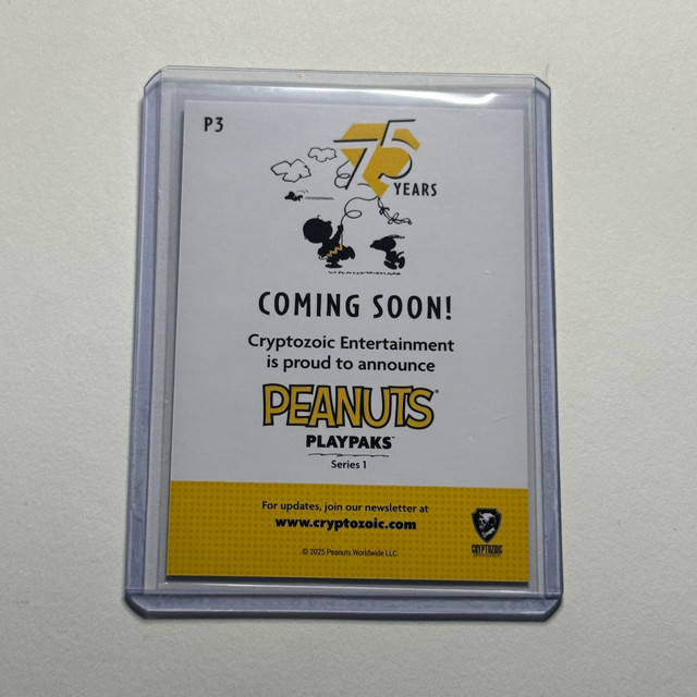 71.jpg