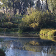 DSC 0983