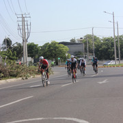 IMG-6517