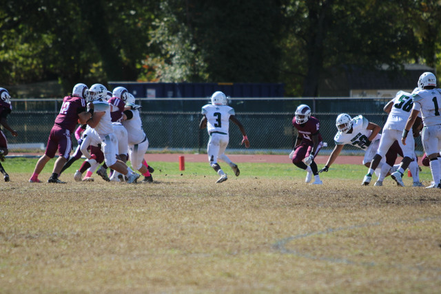 IMG-8245.jpg