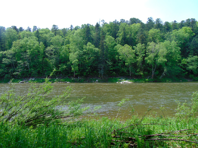 DSC04690