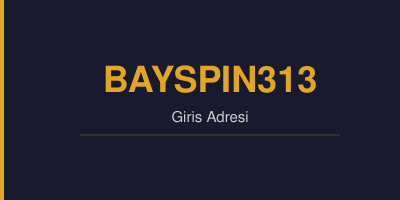 Bayspin313 gorsel.jpg