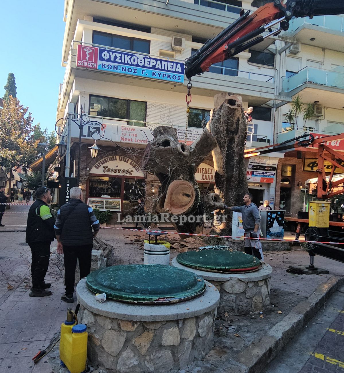 Δεντρο πλατεια Λαου024