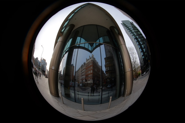 DSCF8879.jpg