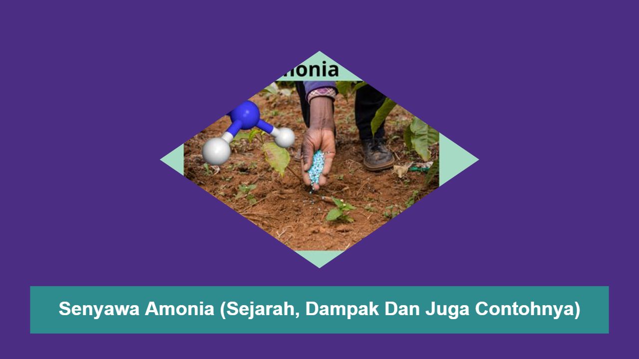Senyawa Amonia (Sejarah, Dampak Dan Juga Contohnya)