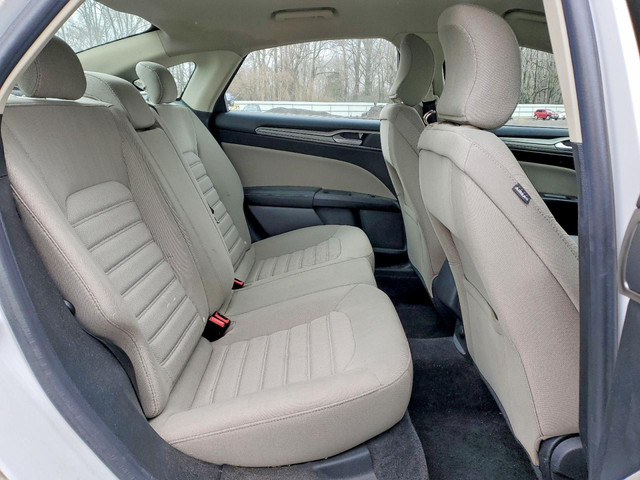 74671815 Image 10.jpg