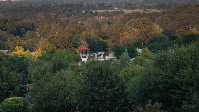 L1013824.jpg