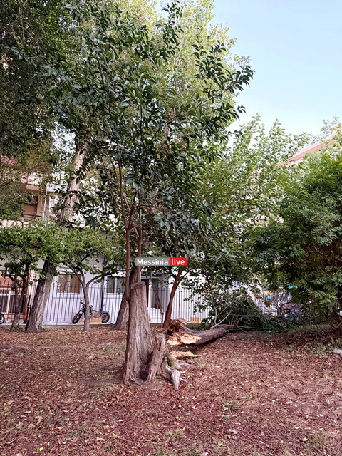 PARKOIMG-2159