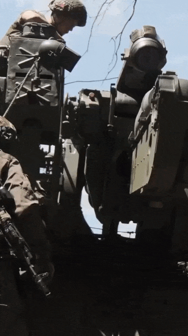 https://i.ibb.co/k2NB9WMn/IMG-7502-1.gif
