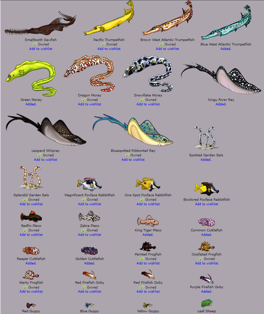 Aquarium jour 10