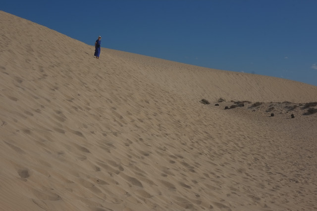 DSCF8586.jpg