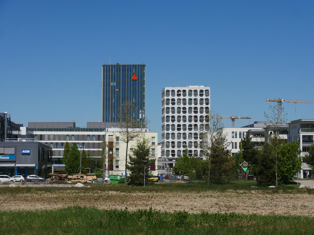 P1080461.jpg