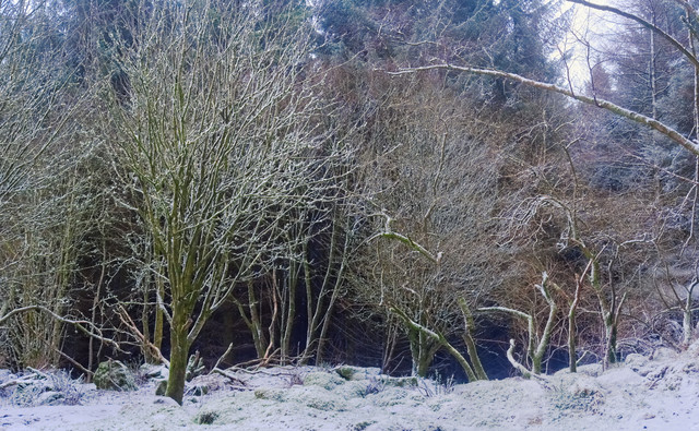 DSCF7192-197.jpg