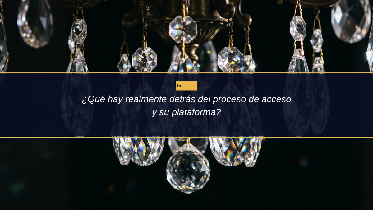 ¿Qué hay realmente detrás del proceso de acceso y su plataforma?