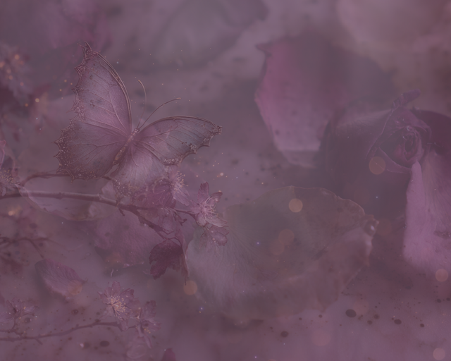 lavenderfields.png