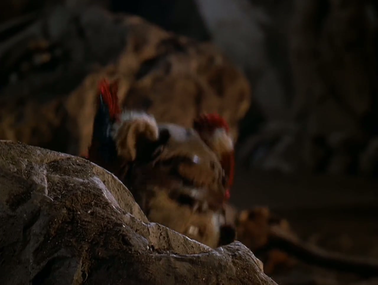The Ewok Adventure Screenshot