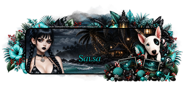 Salsa TK Nevermore Resort2.png
