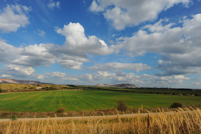 DSC 1715.jpg