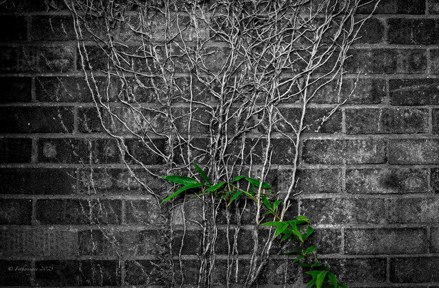 L1461089 Edit