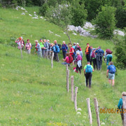IMG 2453