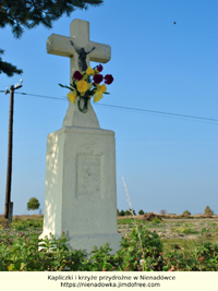 powiększ zdjęcie