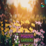 peacefulgarden1150