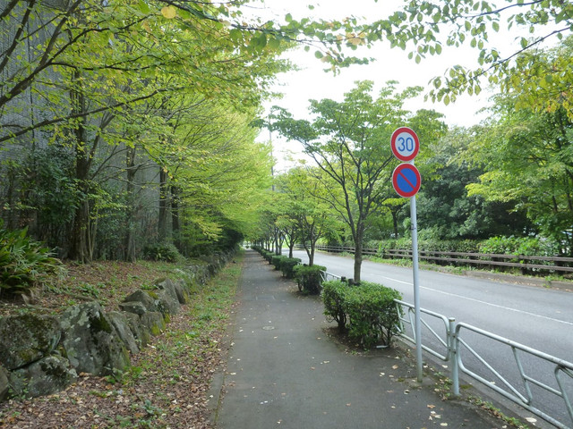 P1350012.jpg